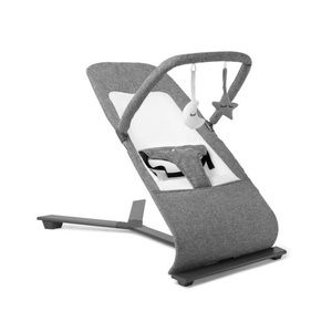 Baby Delight Bouncer Seat